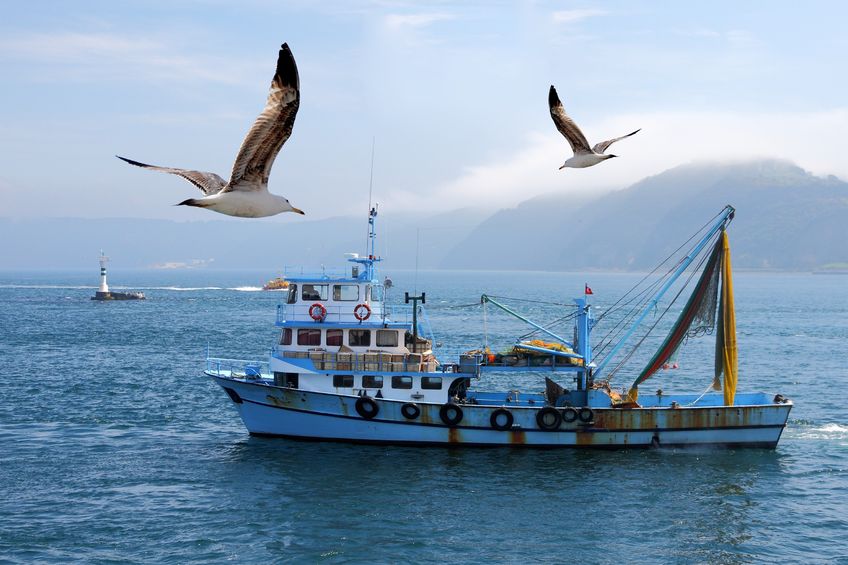 Tips for Choosing Fishing Boats for Sale in Vancouver, BC